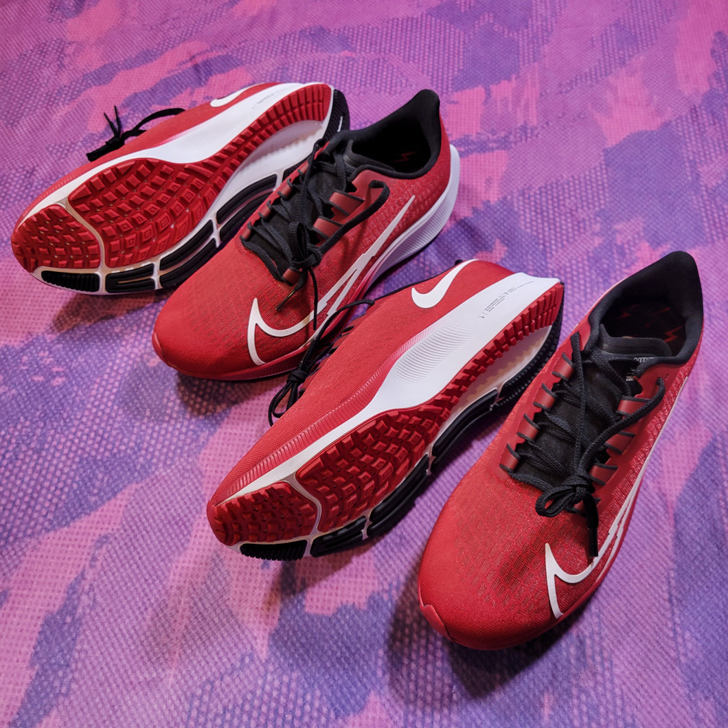 Nike Pegasus Running Shoes x2 (10.0)